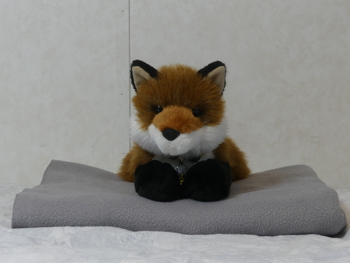 Unnamed 25 (Red Fox, Douglas)